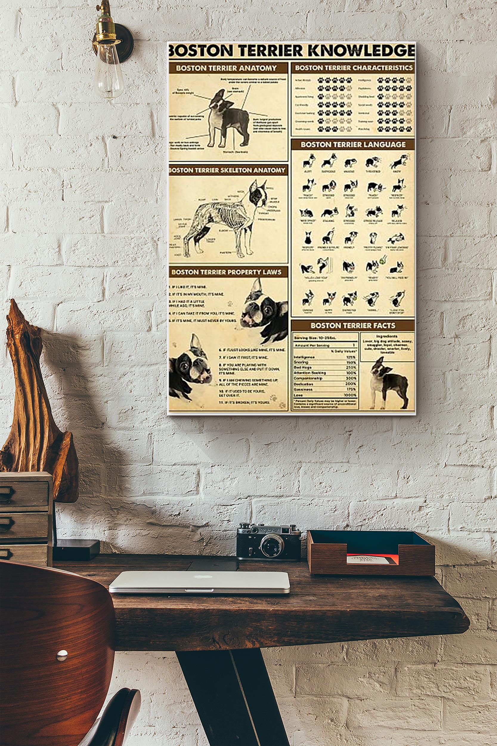 Boston Terrier Knowledge Dogs Breeds Vintage Poster