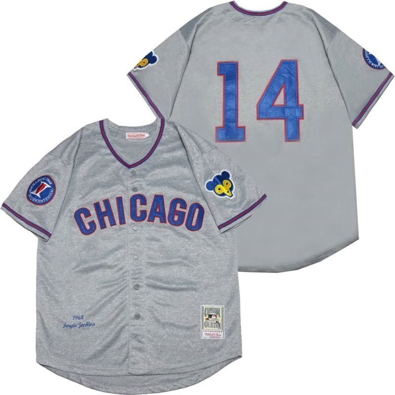 Chicago Cubs Ernie Banks #14 2020 MLB Grey Jersey