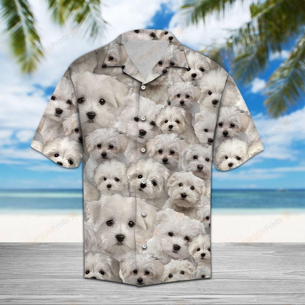 Maltese Awesome Hawaiian Shirt Ha118