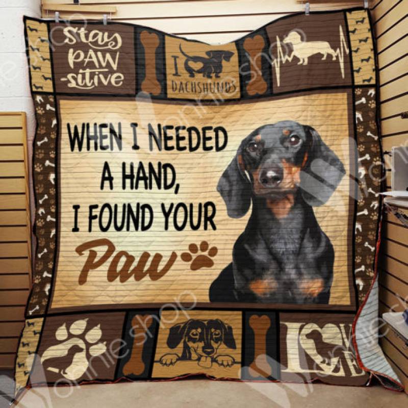 Dachshund Dog Blanket NOV1503 79O49