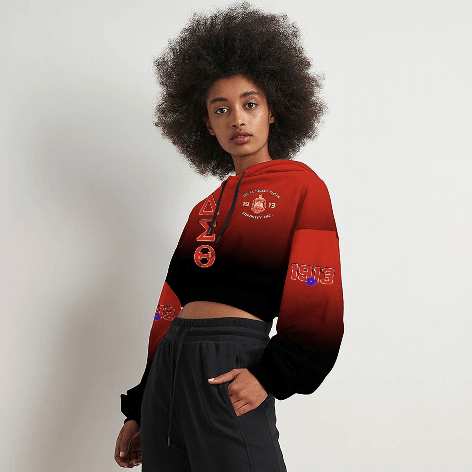 Wonder Print Hoodie – Delta Sigma Theta Gradient Croptop Hoodie