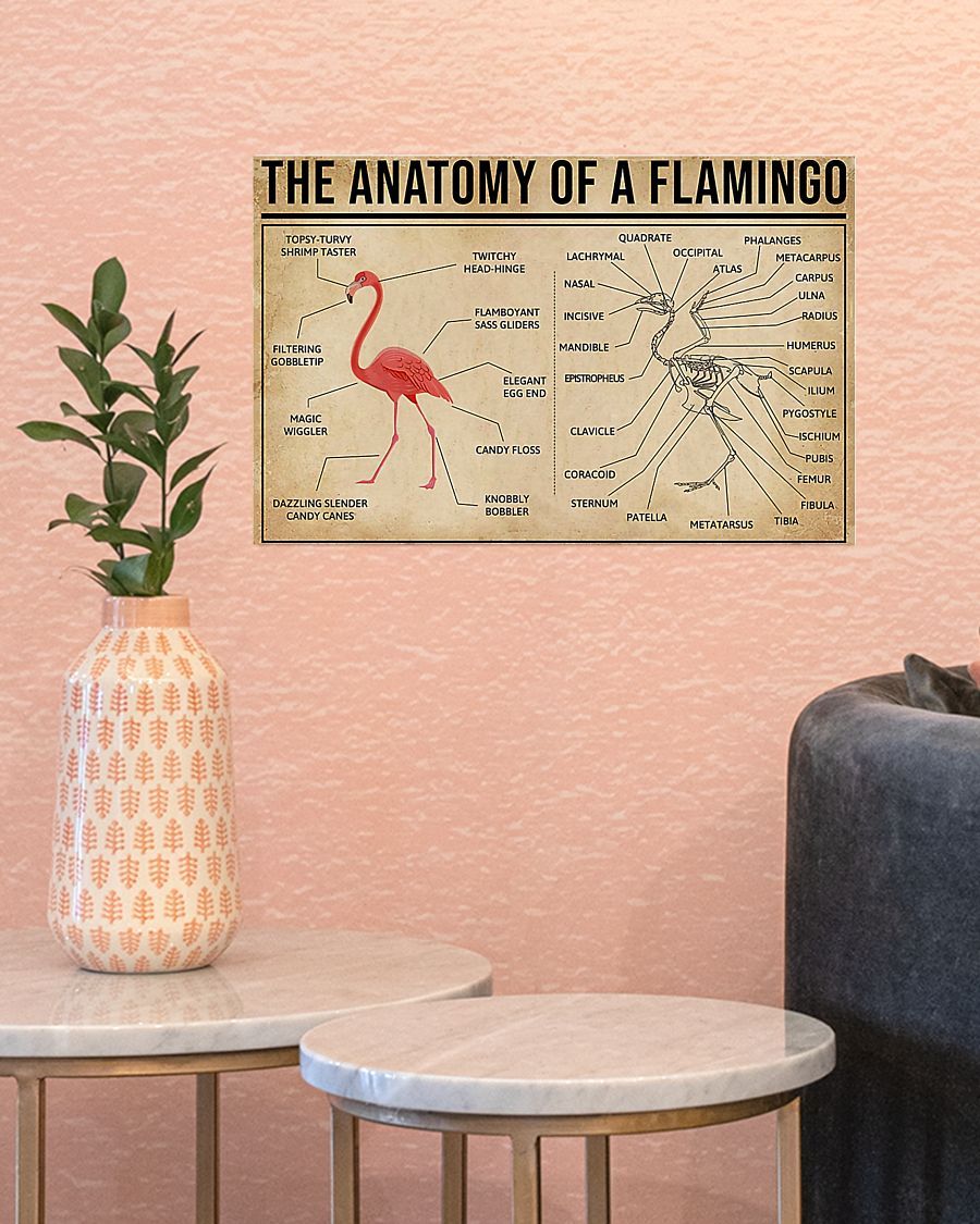 The Anatomy Of A Flamingo Horizontal Canvas And Poster | Wall Decor Visual Art