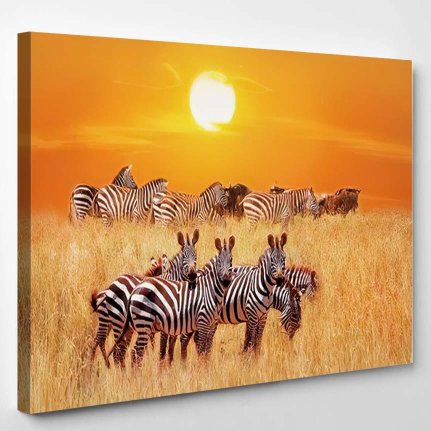 Group African Zebras Sunset Serengeti National – Fantastic Canvas Print