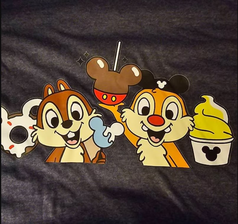 Chip and Dale Sisney Snacks Disneyland Shirt Outfit