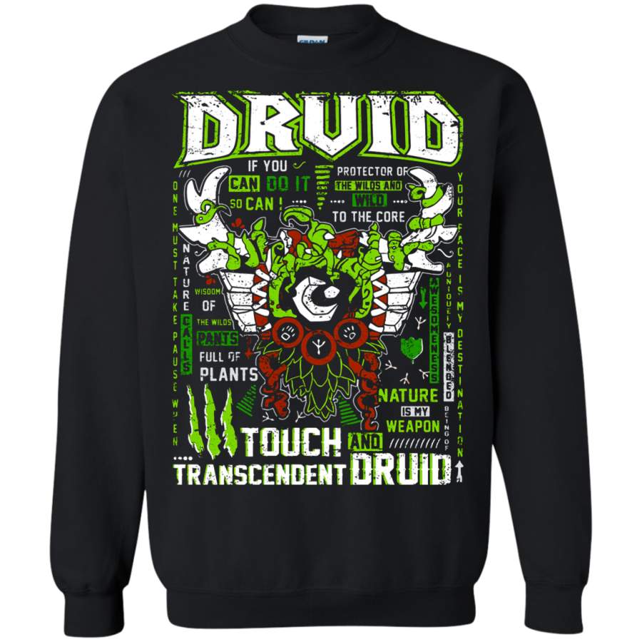 AGR World Of Warcraft Druid Touch And Transcendent Sweatshirt