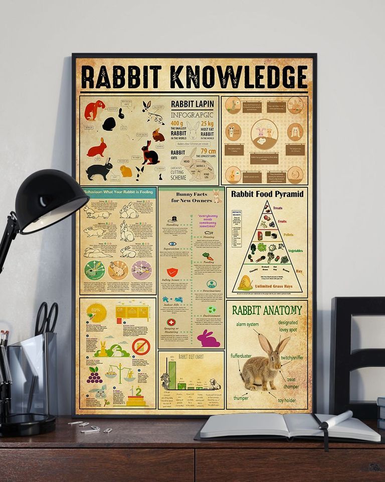 Rabbit Knowledge For Men And Women Home Living Room Wall Decor Vertical Poster Canvas Y97