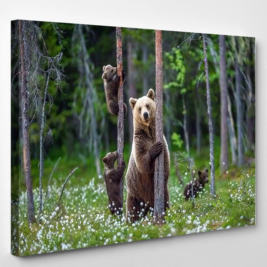 Shebear Bear Cubs Summer Forest On 1 – Bear Animals Canvas Print