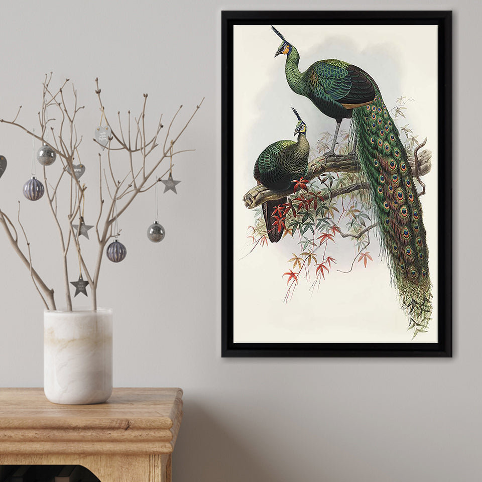 Two Peafowls Framed Canvas Print – Canvas Painting, Canvas Art, Wall Art, Wall Decor