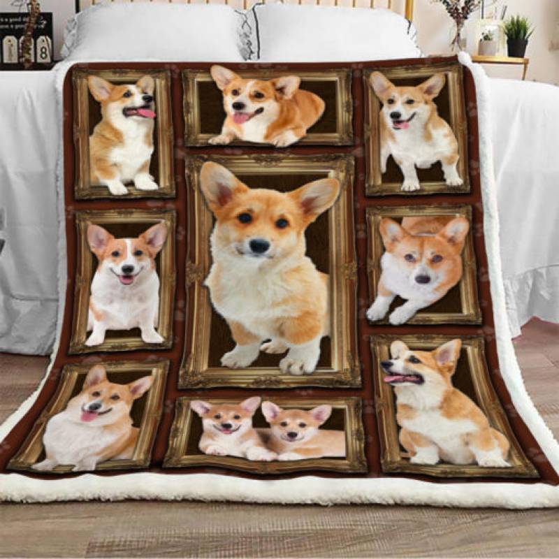 Corgi Dog Sherpa Blanket DCB2501 95O35