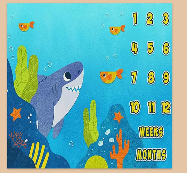 Whale & Fish Monthly Milestone Blanket, Newborn Blanket, Baby Shower Gift Adventure Awaits Monthly Growth