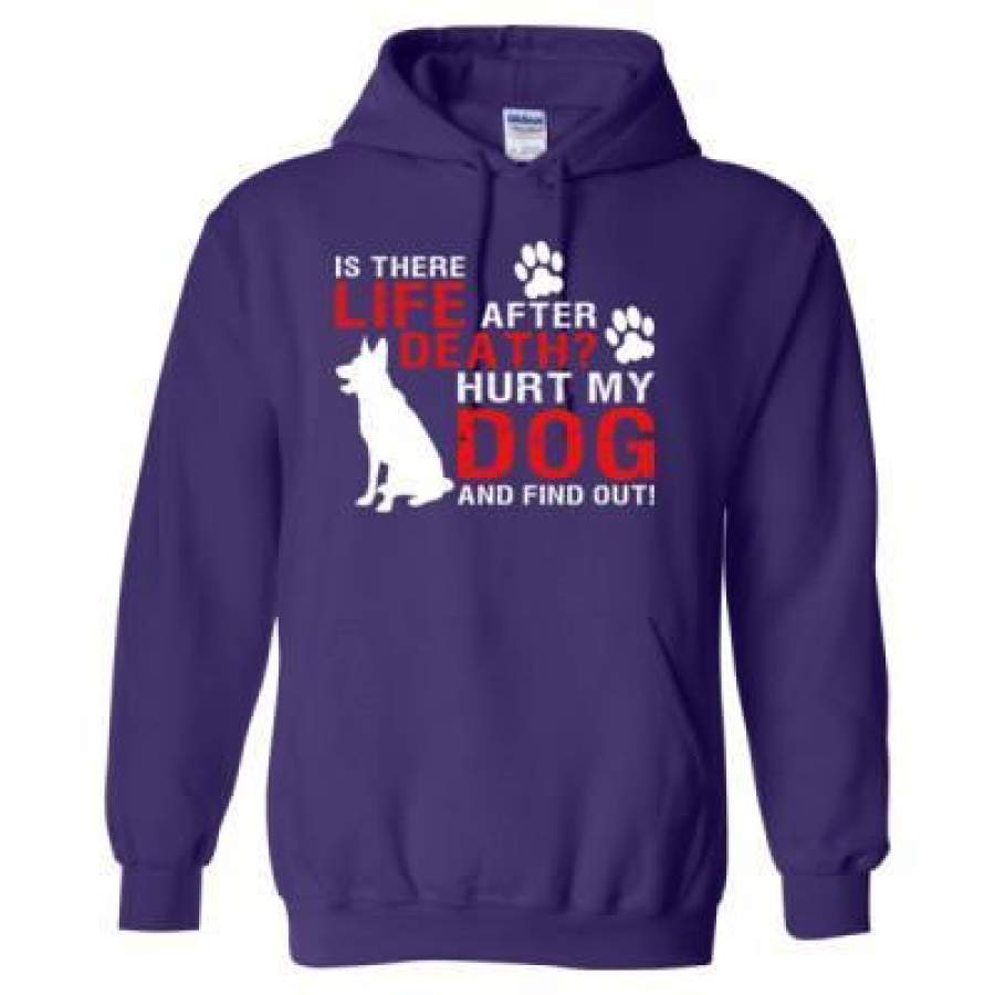 AGR Is There Life After Death Hurt My Dog And Find Out – Heavy Blend™ Hooded Sweatshirt