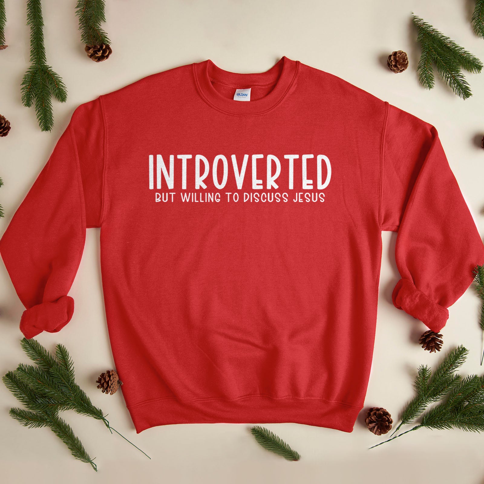 Introverted But Willing To Discuss Jesus Sweatshirt