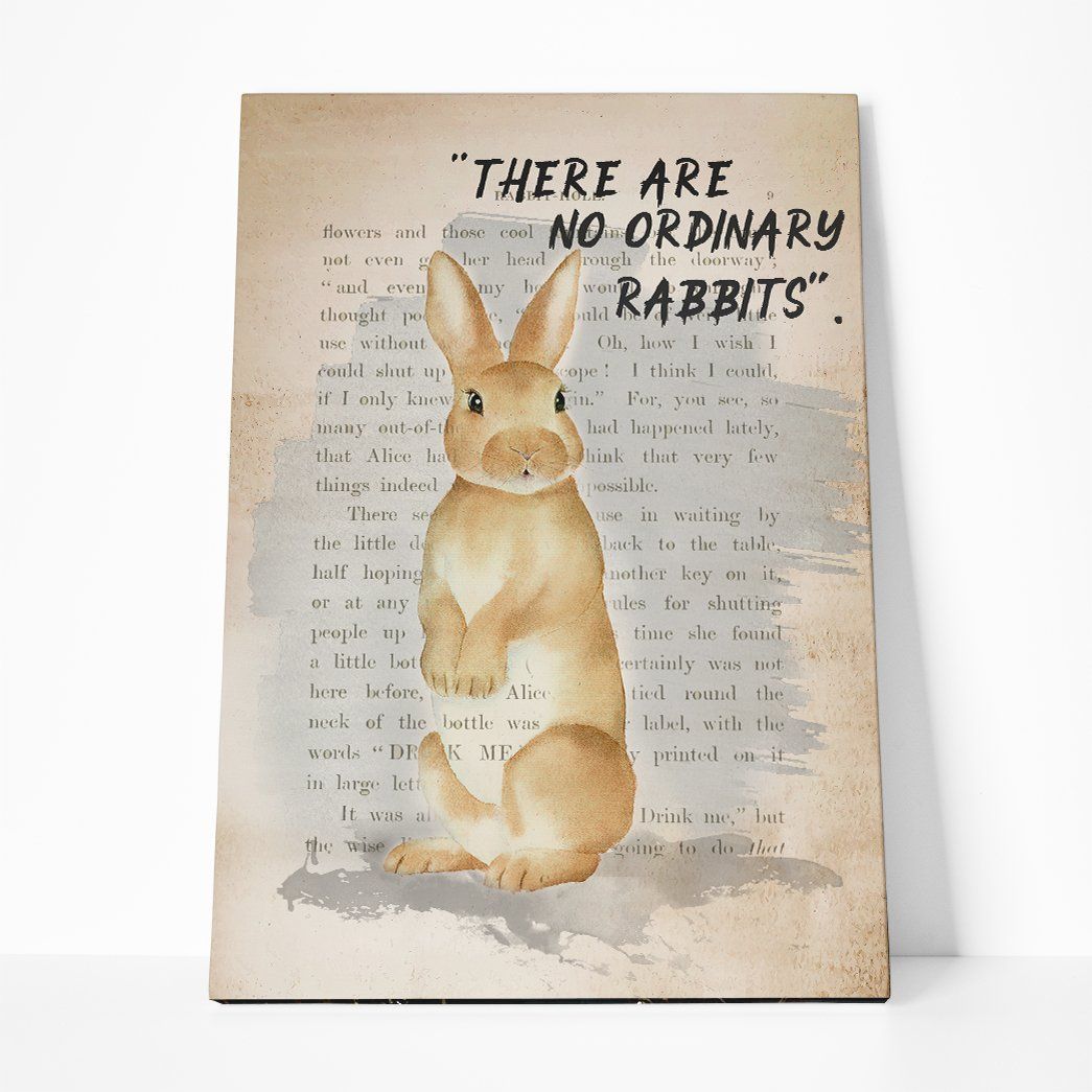 3D There Are No Ordinary Rabbit Canvas