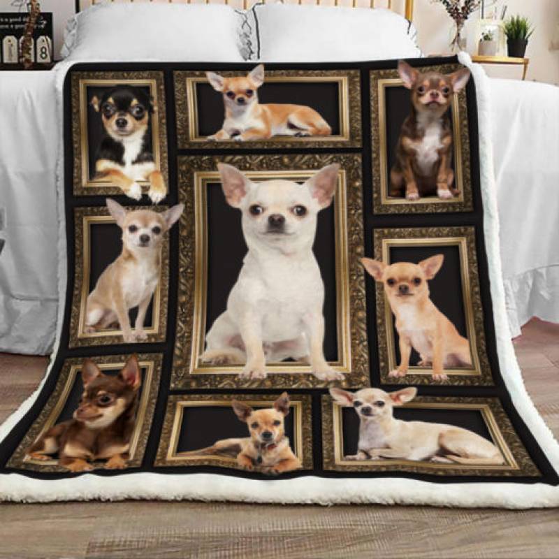 Chihuahua Dog Sherpa Blanket JR0203 69O43