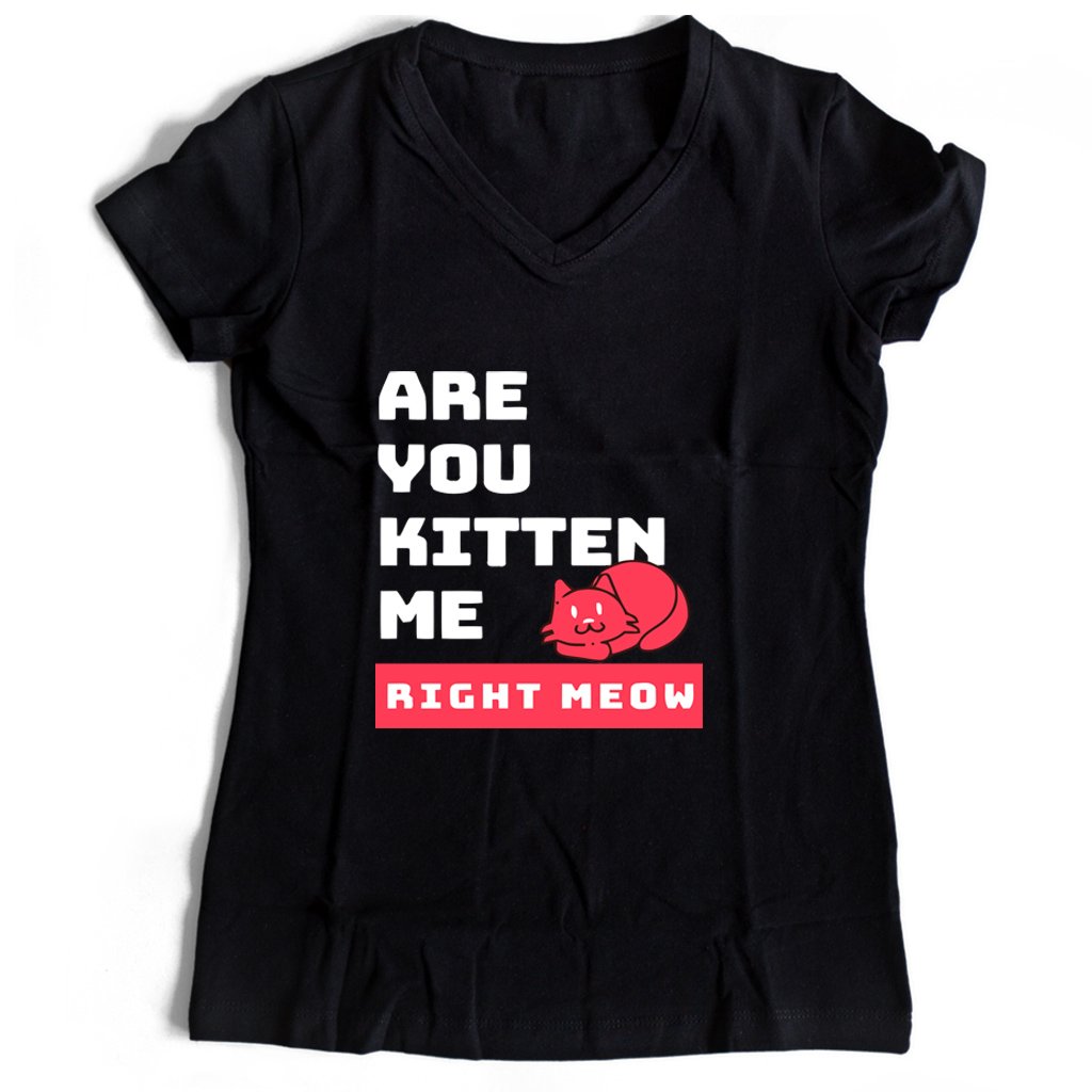 Are You Kitten Me Right Meow Two Women’s V-Neck Tee T-Shirt