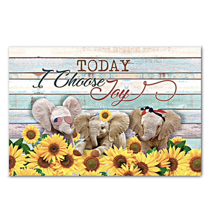 Today I Choose Joy – Best Gift Idea , Gift For Home Decor, Gift For Family – Horizontal Canvas Matte Canvas Wall Art