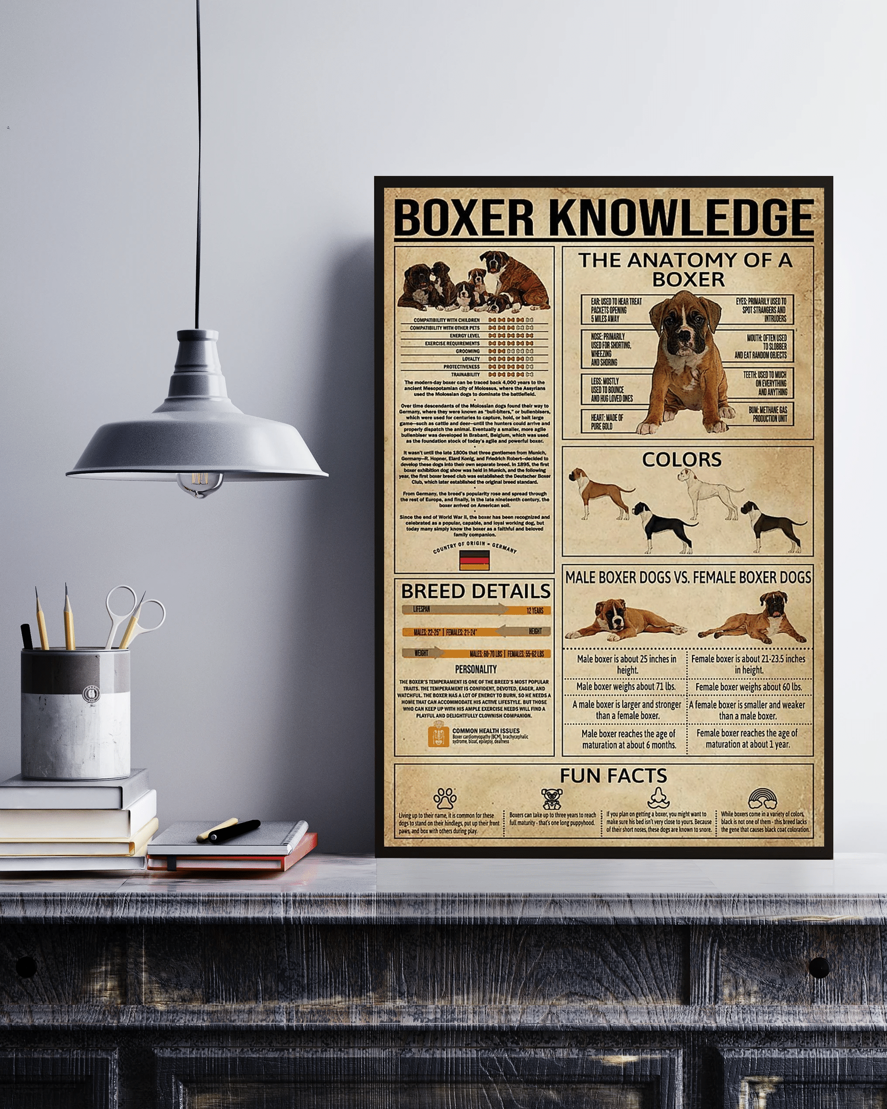 Boxer Knowledge Canvas Poster Wall Art