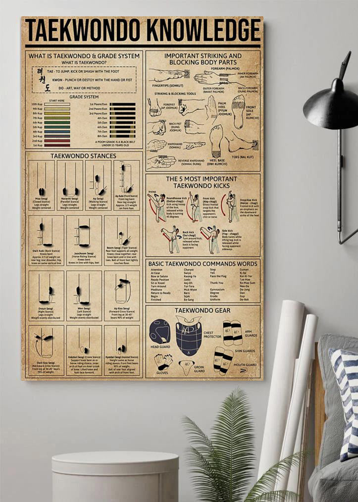 Taekwondo Knowledge Training Room Poster