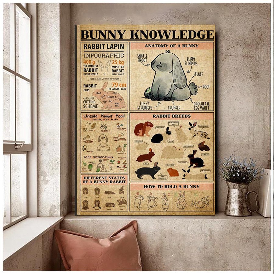 Breeds Of Rabbits Wall Art Canvas Prints, Bunny Knowledge Canvas Prints For Rabbit Lovers 2  – Posters Canvas Prints Wall Art