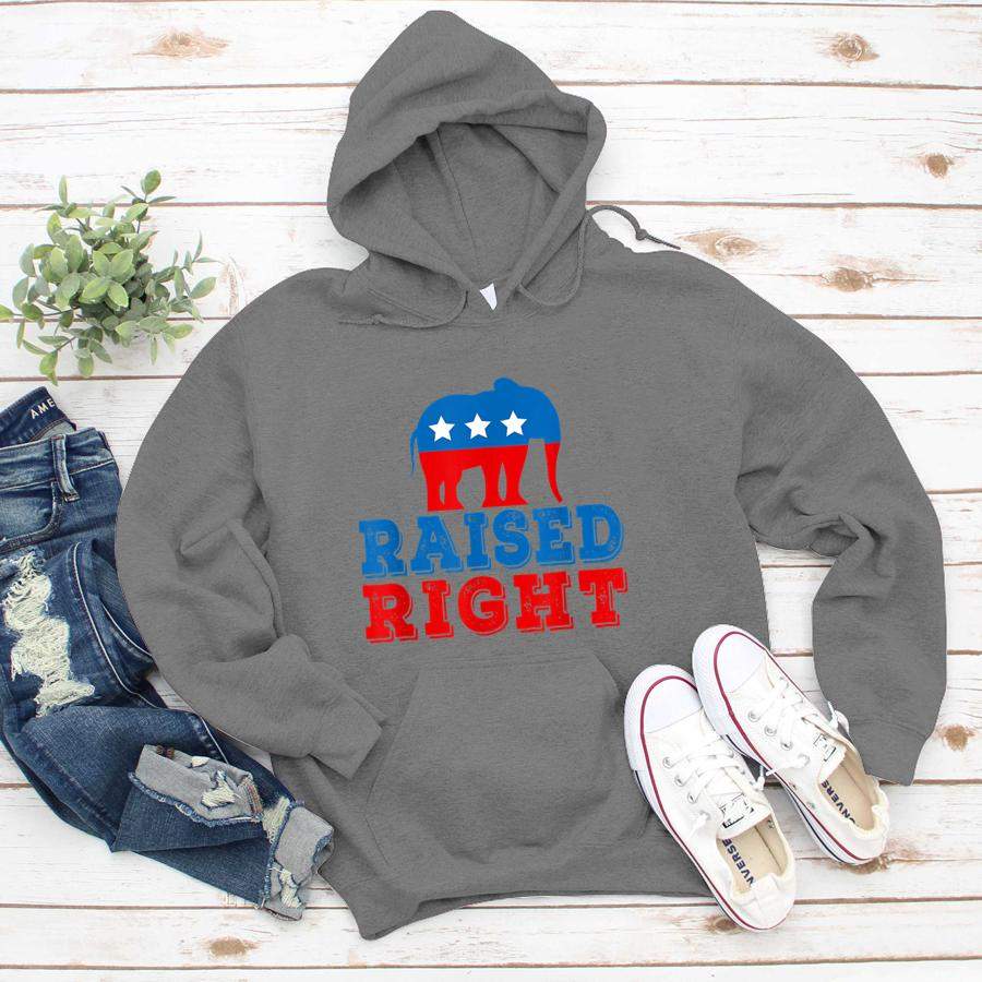 Raised Right Pro Republican Right Political Activist Gift  Hoodie