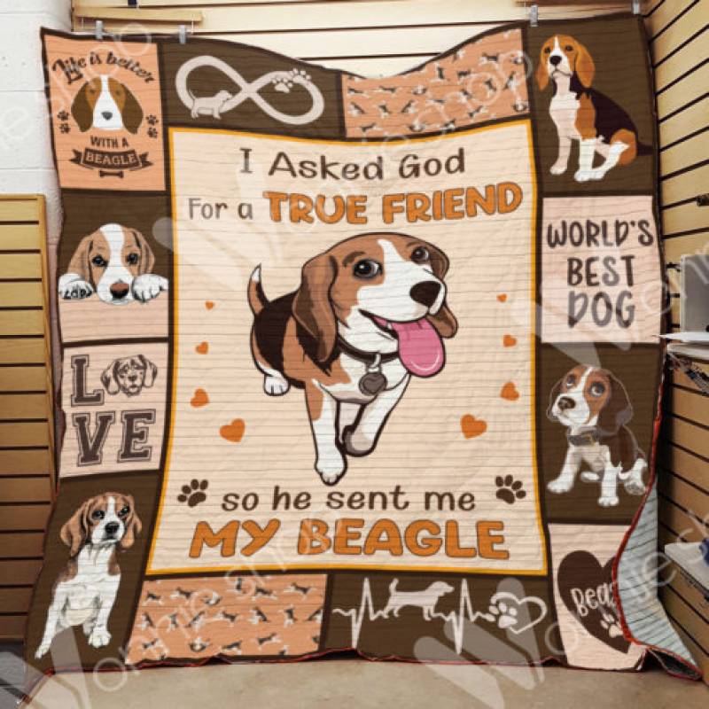 Beagle Dog Blanket NOV2501 69O52