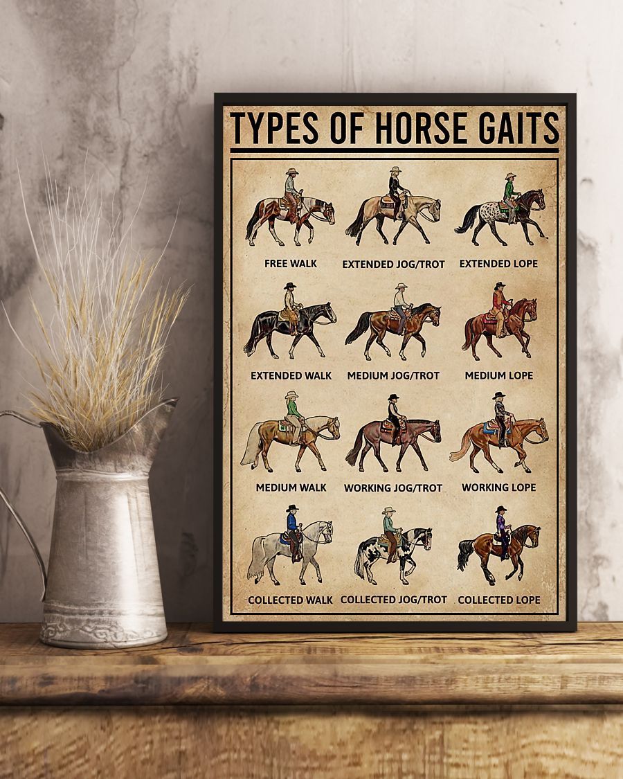 Vintage Design Somethin You Should Know About Types Of Horse Gaits