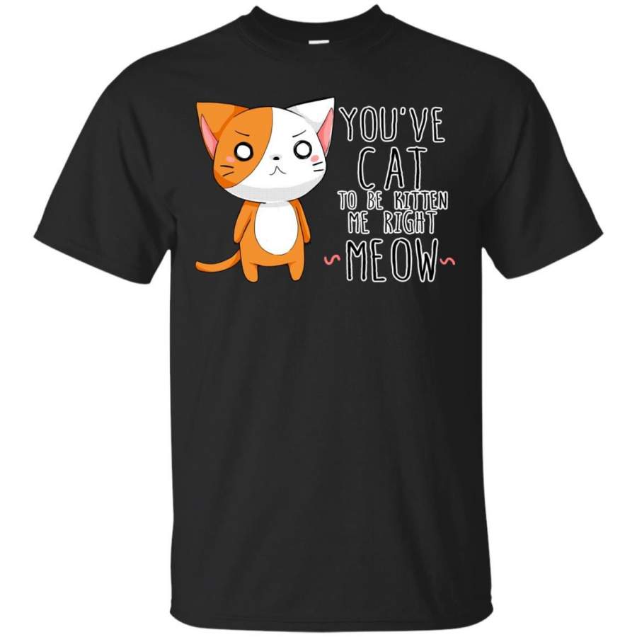 CAT PUNS – Kitten me T Shirt & Hoodie