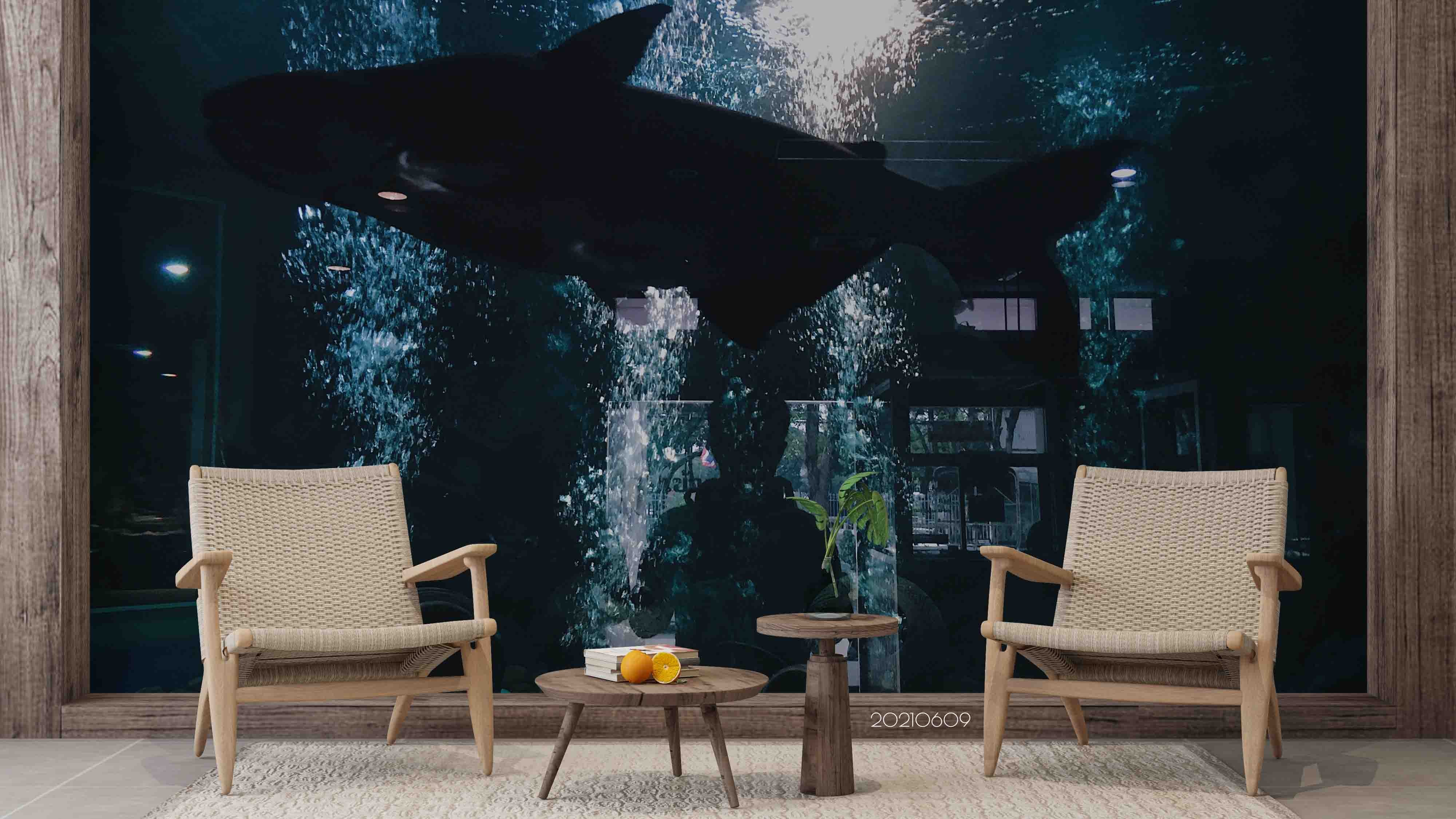 3D  Black Shark  Animal Wall Mural Wallpaper Sww1739