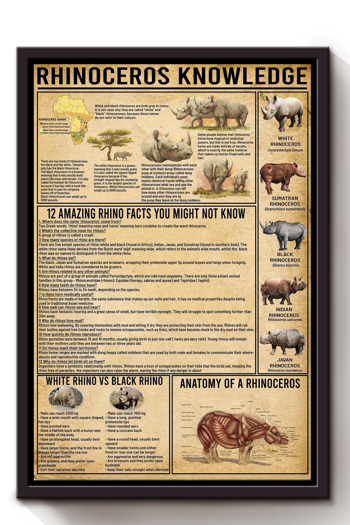 Rhinoceros Amazing Fact Animal Knowledge Wall Art For Homeschool Nusery Kids Bedroom Decor Framed Canvas