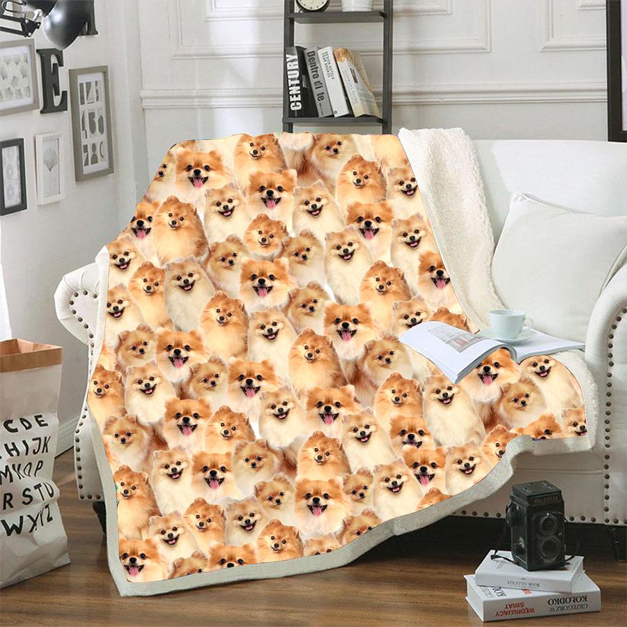 Pomeranian A Bunch Of Dogs Blanket Dog Face Printed Blanket