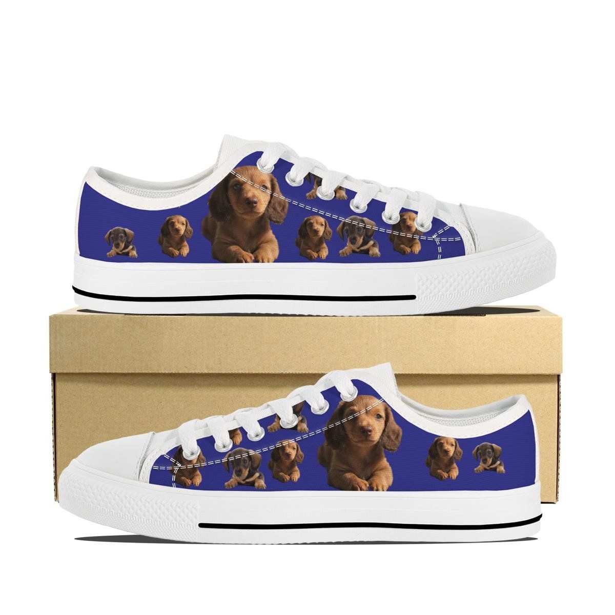 Dachshund Puppy Canvas Low Top Shoes