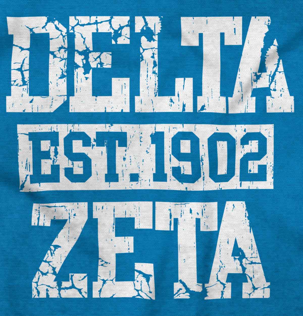 Spirit Of Delta Zeta Long Sleeve Tee