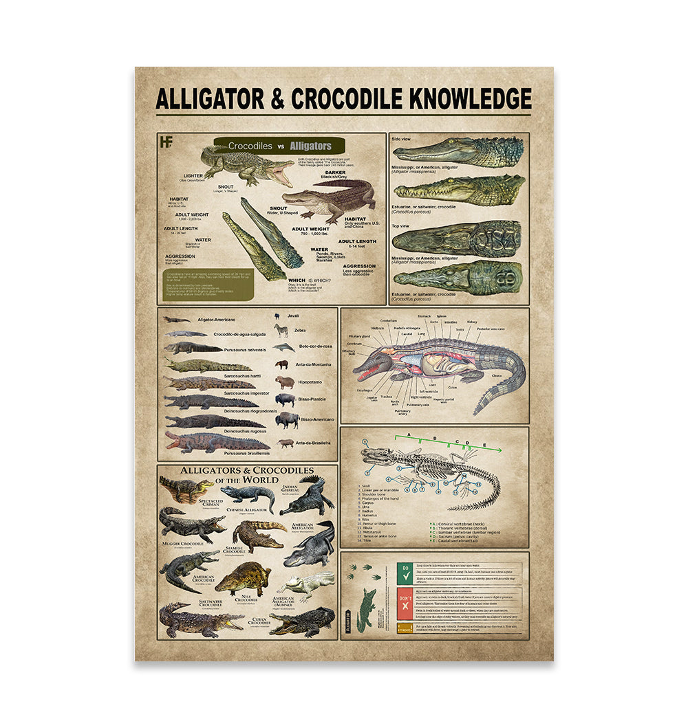 Alligators & Crocodiles Knowledge Ez05 2209 Canvas