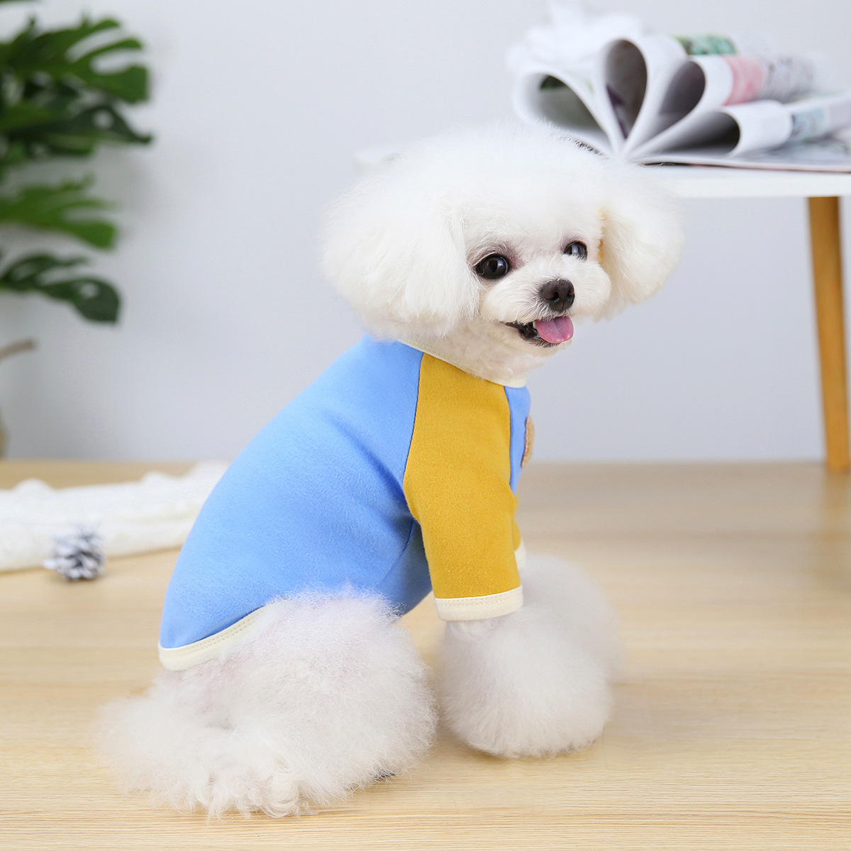 Spring Fashion Dog Shirts Coat Breathable Puppy T-Shirt Cute Bear Pet Clothes Cat Sweatshirt Schnauzer Teddy Clothing Costume alx