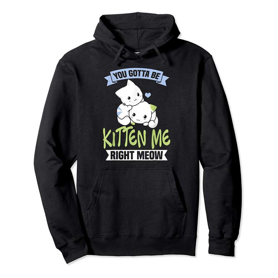 You Gotta Be Kitten Me Right Meow Cat Lover Hoodie Premium Tee