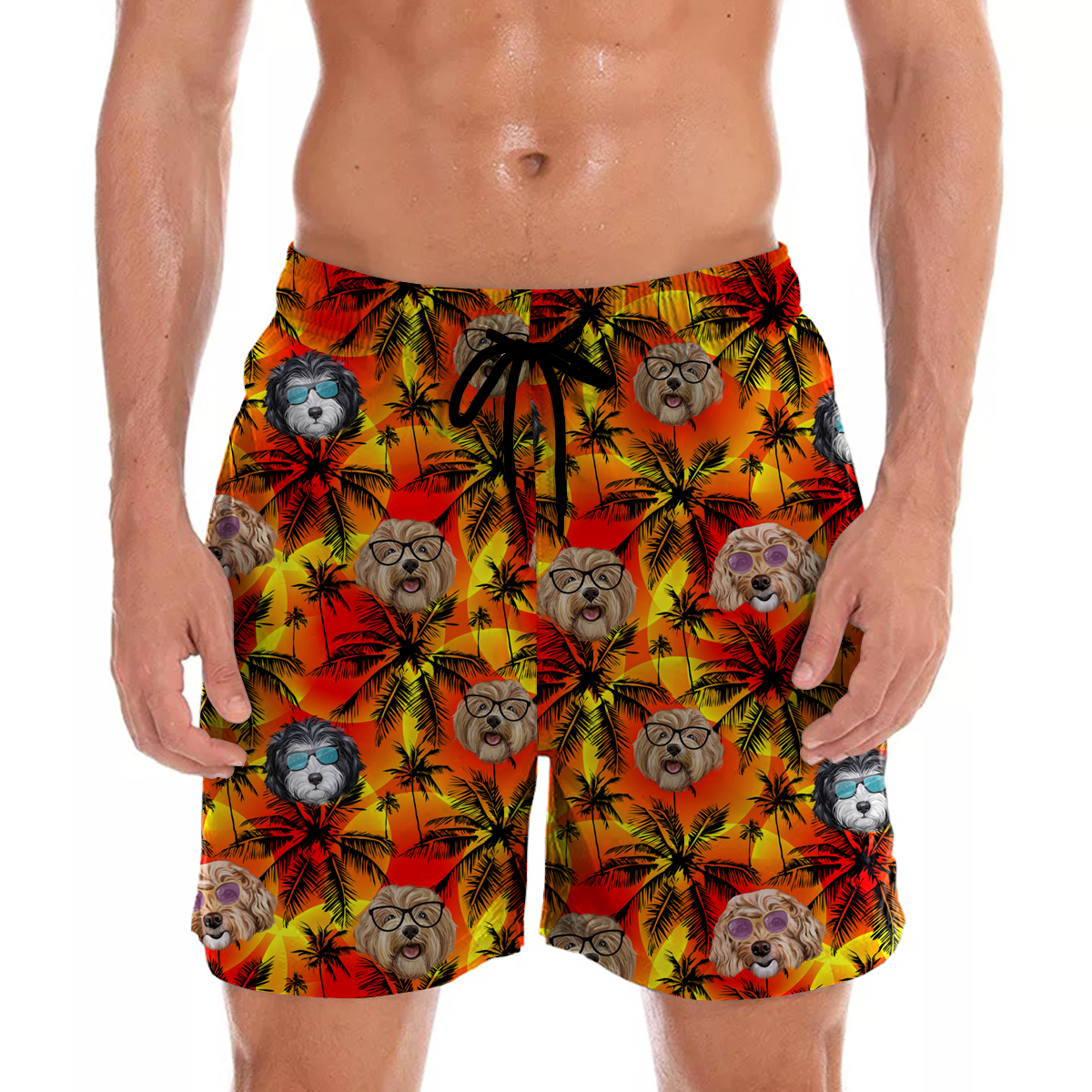 Cavapoo Aloha Hawaii Shorts Ha46732