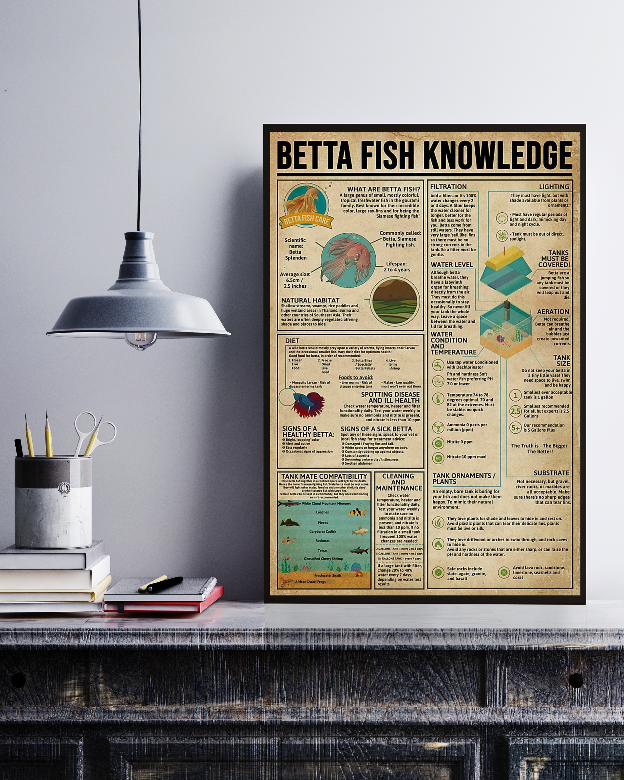 Betta Fish Poster Portrait Knowledge Poster No Frame