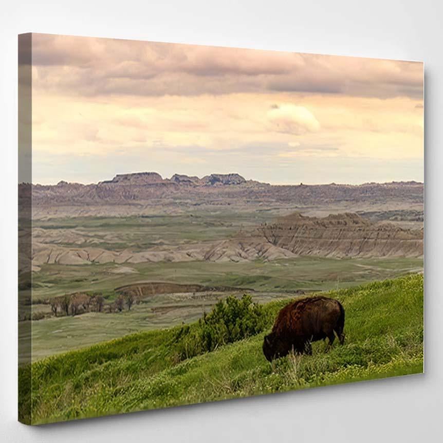 Post Card Type Photo Yellowstone National – Bison Animals Canvas Print