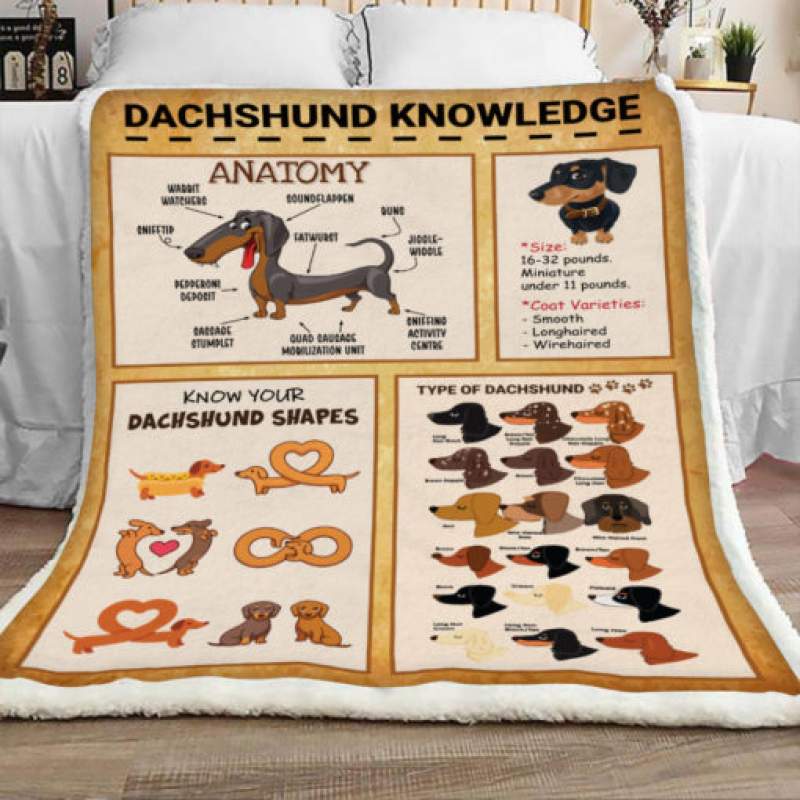 Dachshund Dog Sherpa Blanket JR2001 78O53