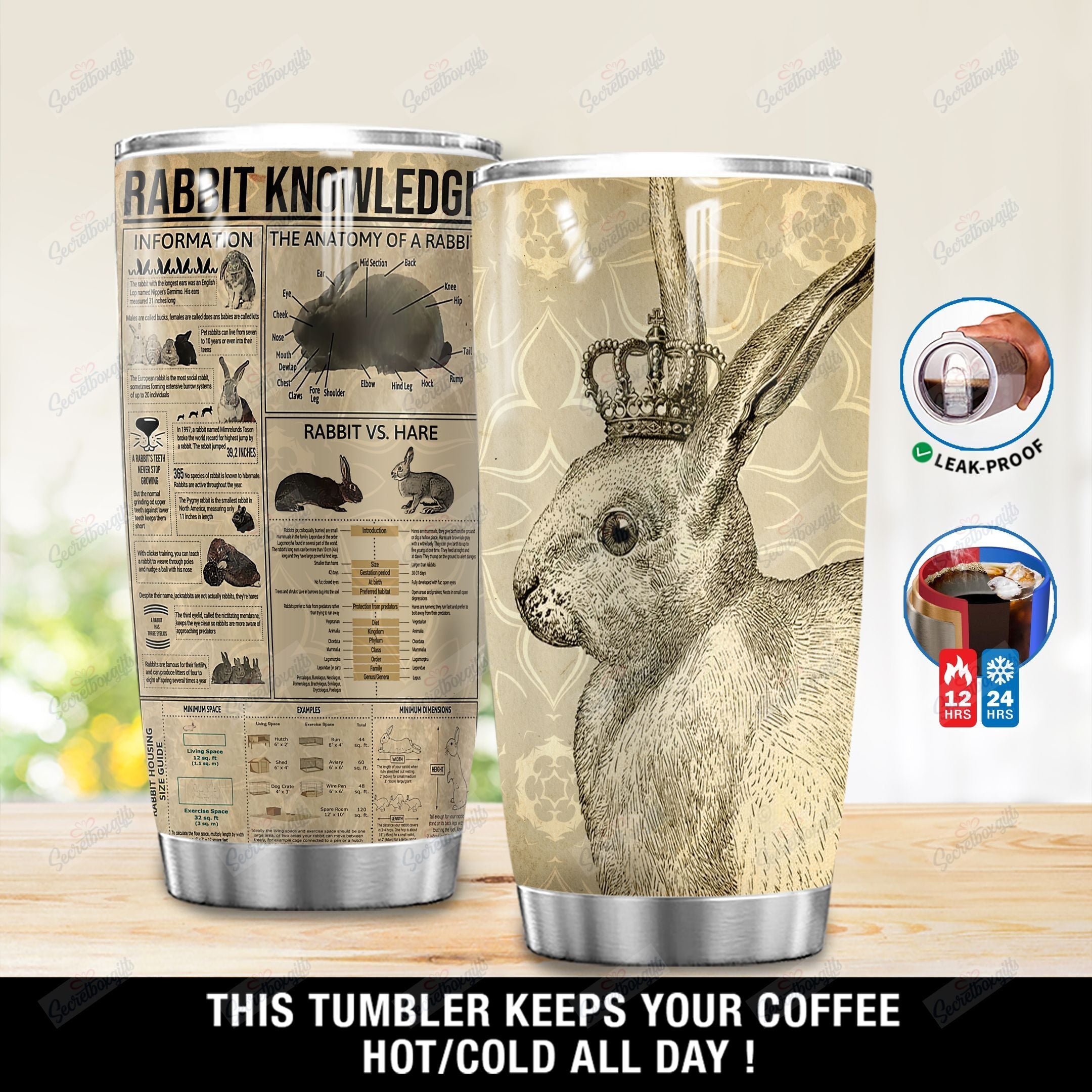 Personalized Rabbit Knowledge Dd2111016Qv Stainless Steel Tumbler Travel Customize Name, Text, Number, Image