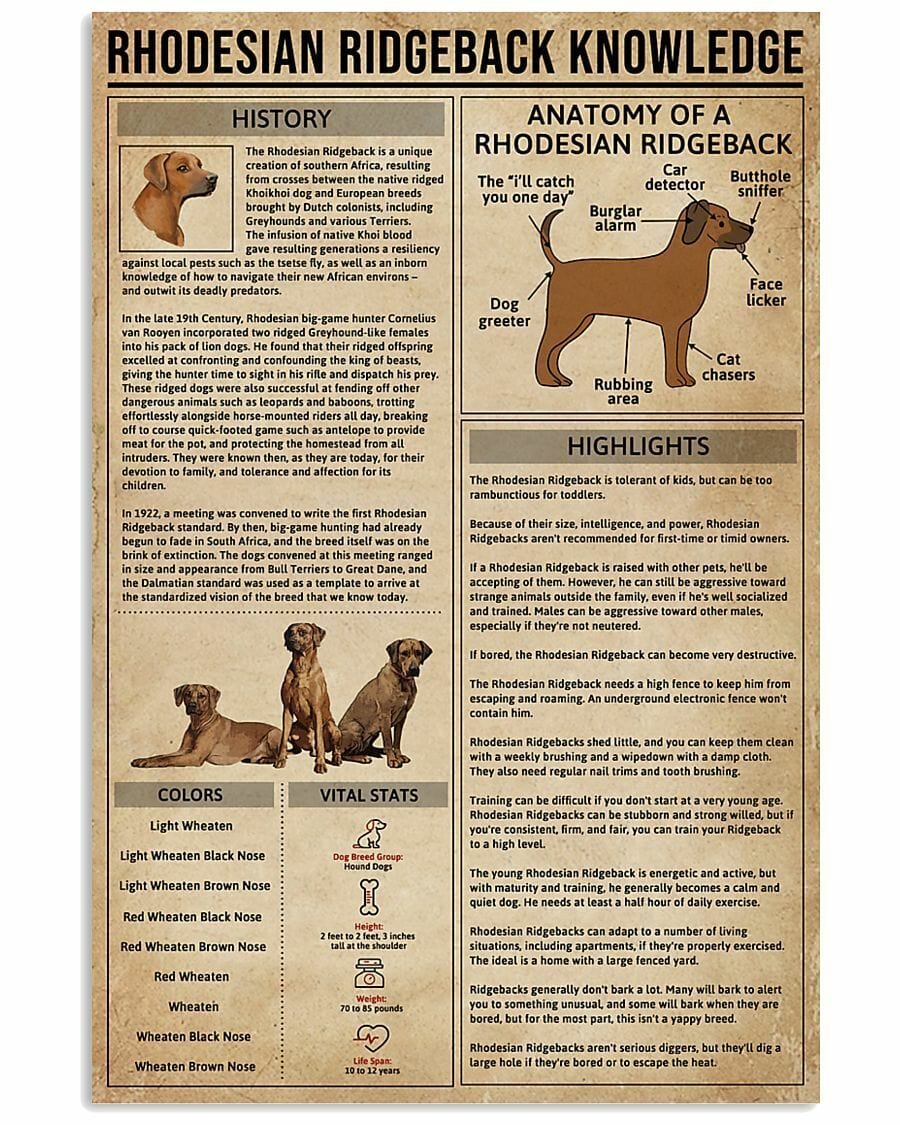 Rhodesian Ridgeback Knowledge Poster  Canvas