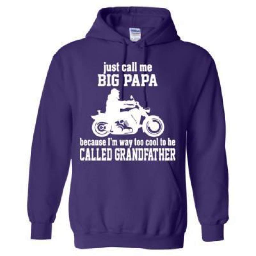 AGR Just Call Me Big Papa Because Im Way Too Cool To Be Called Grandfather – Heavy Blend™ Hooded Sweatshirt