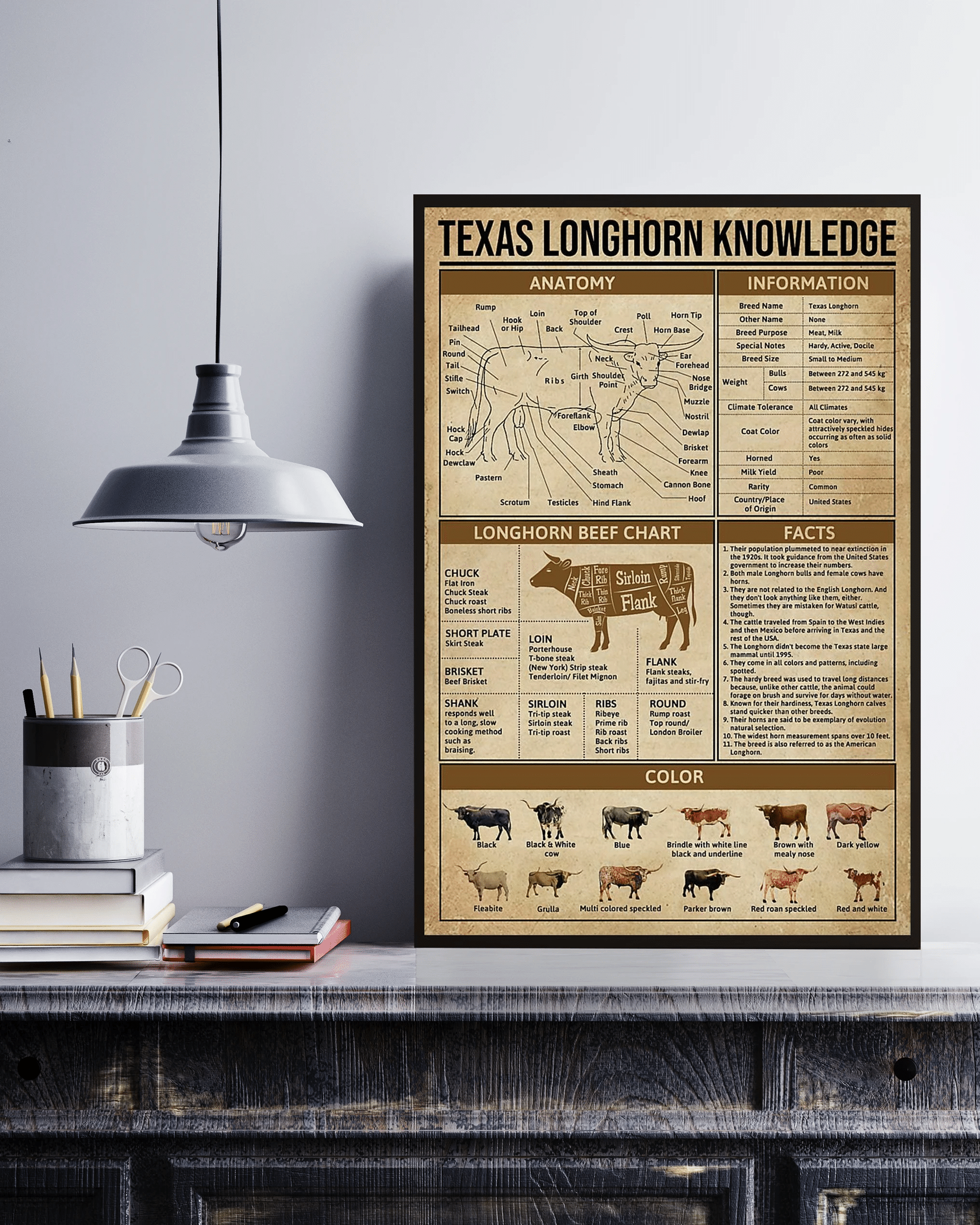 Vibesprints Texas Longhorn Knowledge Canvas Prints Poster Wall Art Decor