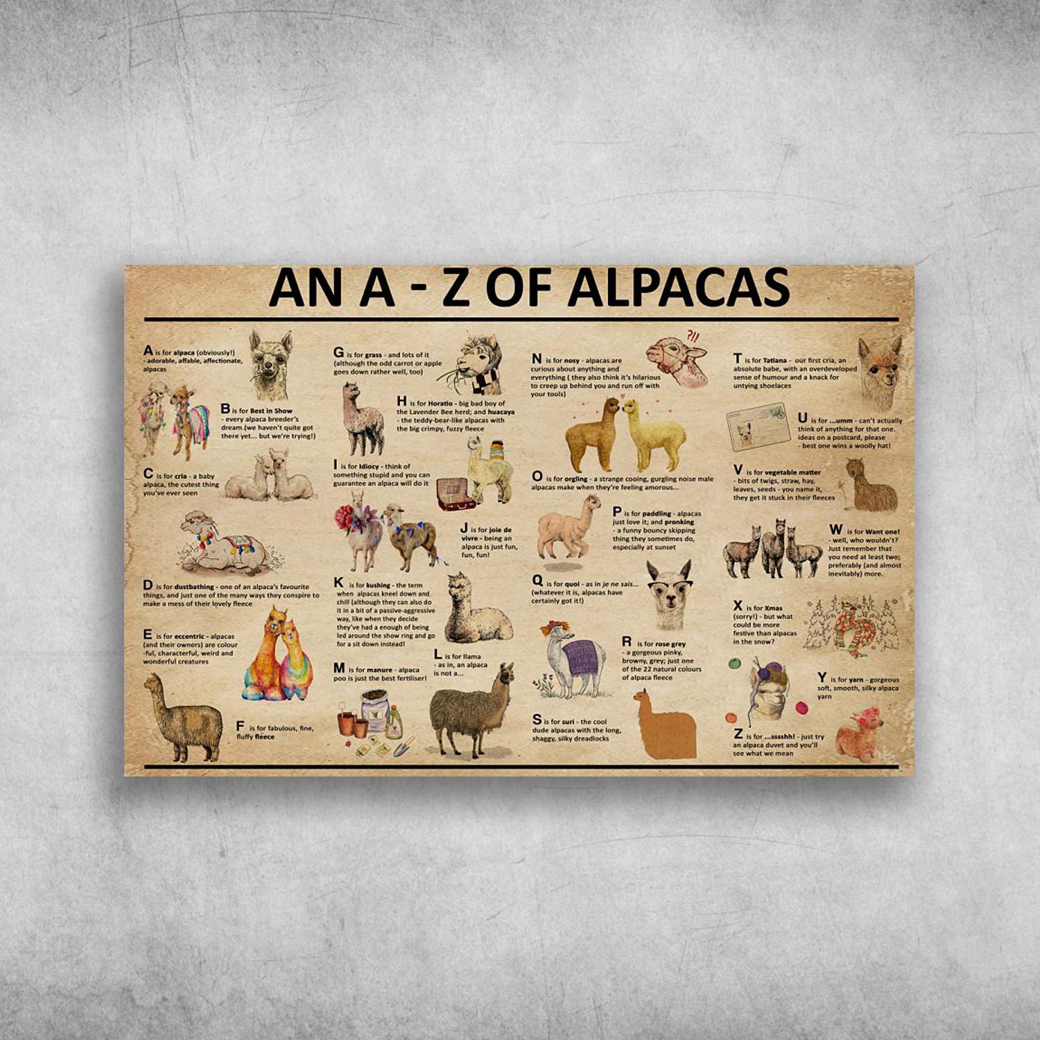 An A To Z Of Alpacas Sheep Camel Animal Poster Print, Canvas Print, Canvas Wall Art, Canvas And Poster Wall Decor