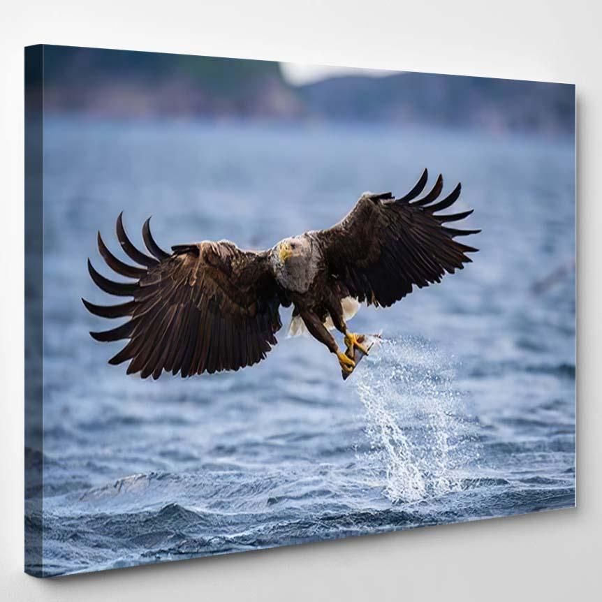 Whitetailed Eagle Haliaeetus Albicilla Just Has 9 – Eagle Animals Canvas Art Wall Decor Christmas Gift Ideas