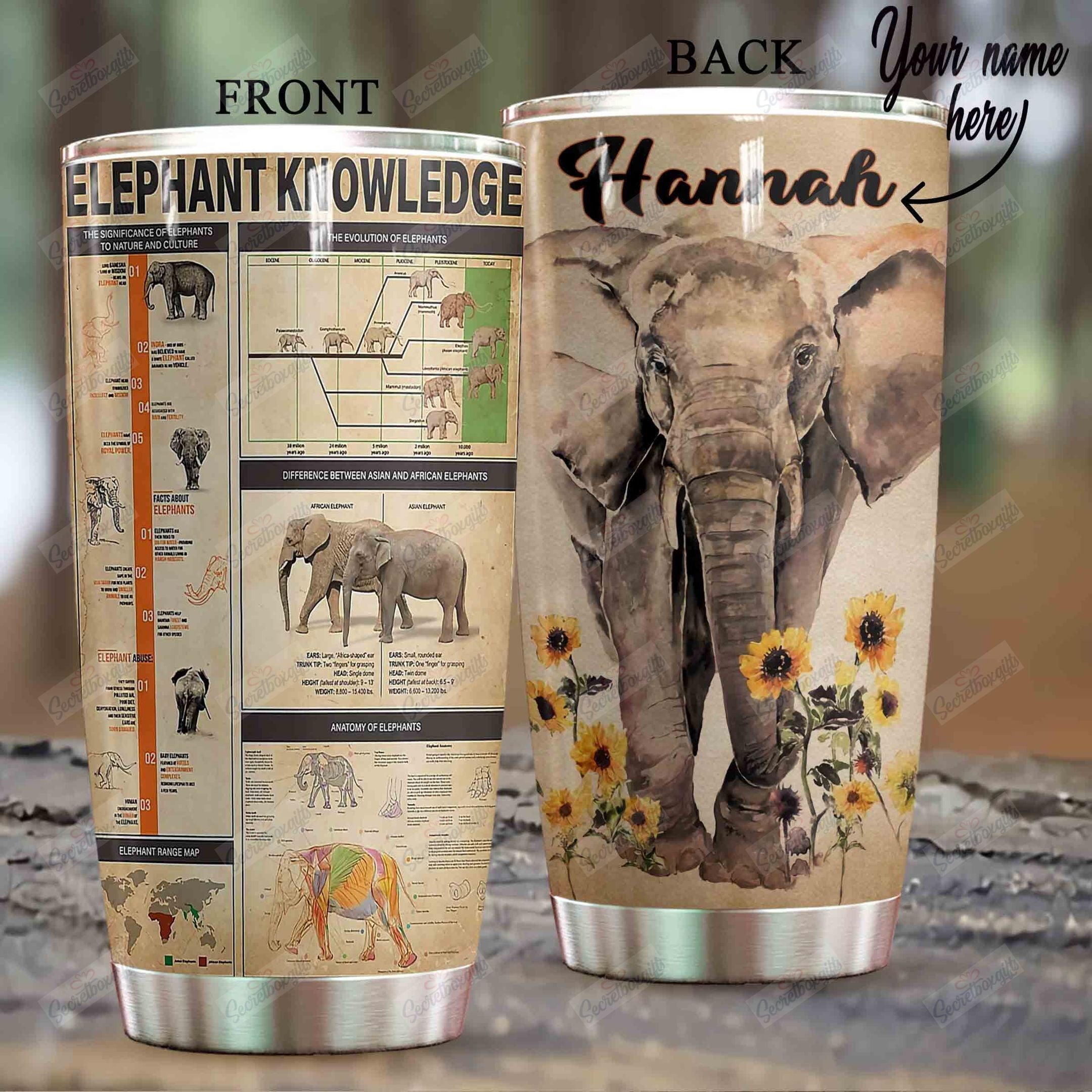 Personalized Elephant Knowledge Ld0310875Cl Stainless Steel Tumbler Customize Name, Text, Number