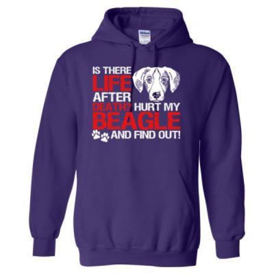 AGR Is There Life After Death Hurt My Beagle And Find Out – Heavy Blend™ Hooded Sweatshirt