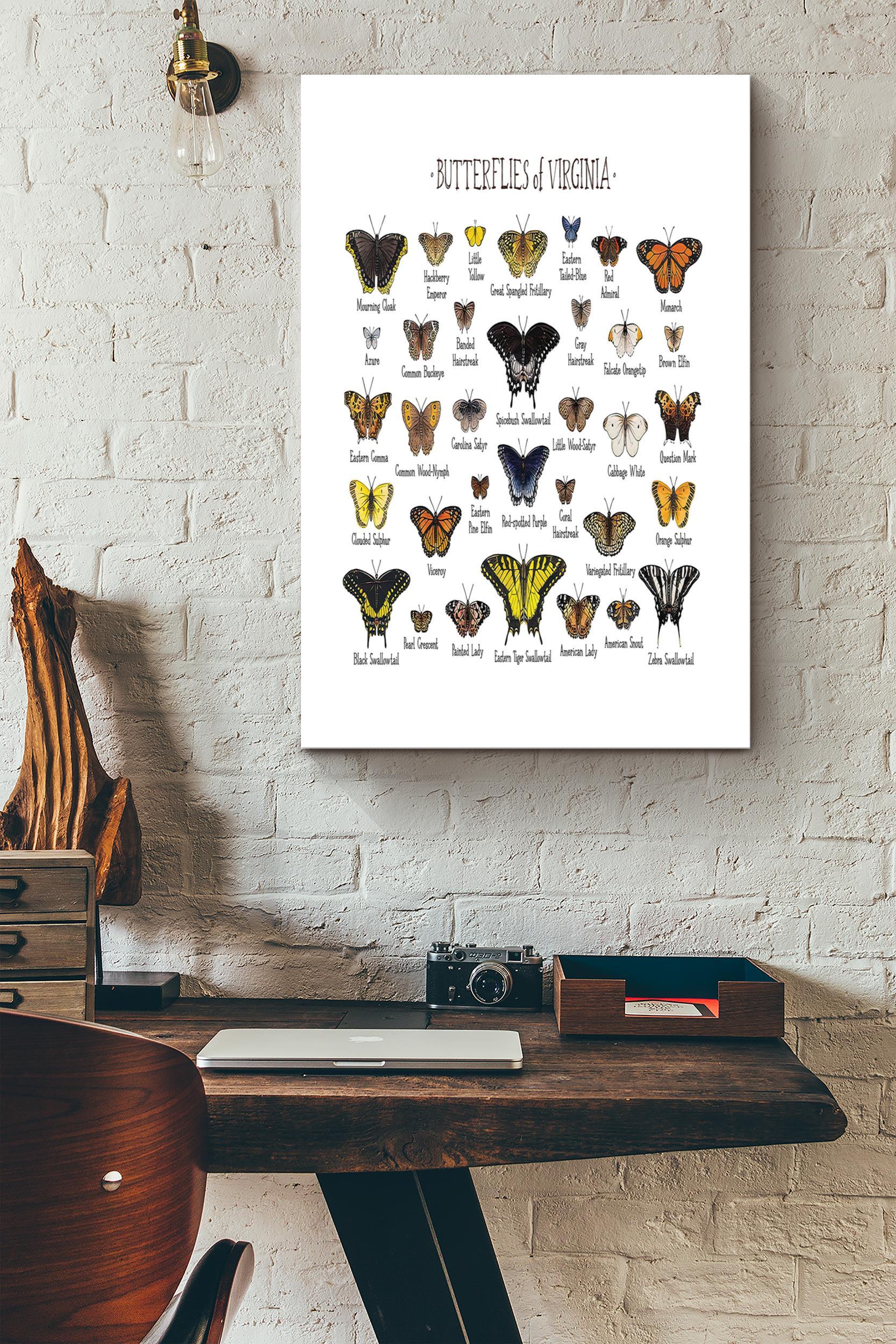 Butterflies Of Virginia Poster – Home Decor Wall Art – Gift For Butterfly Lover, Insect Collector (Unframed) Poster