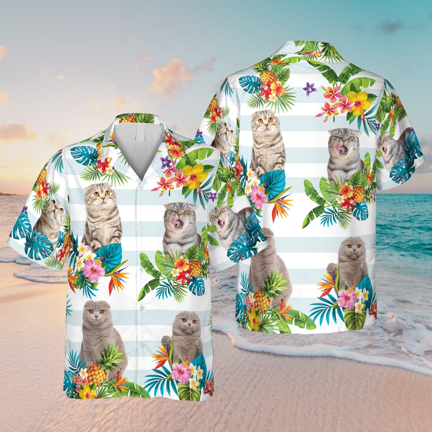 Scottish Fold Kitten Hawaii Day Gift Ha70474