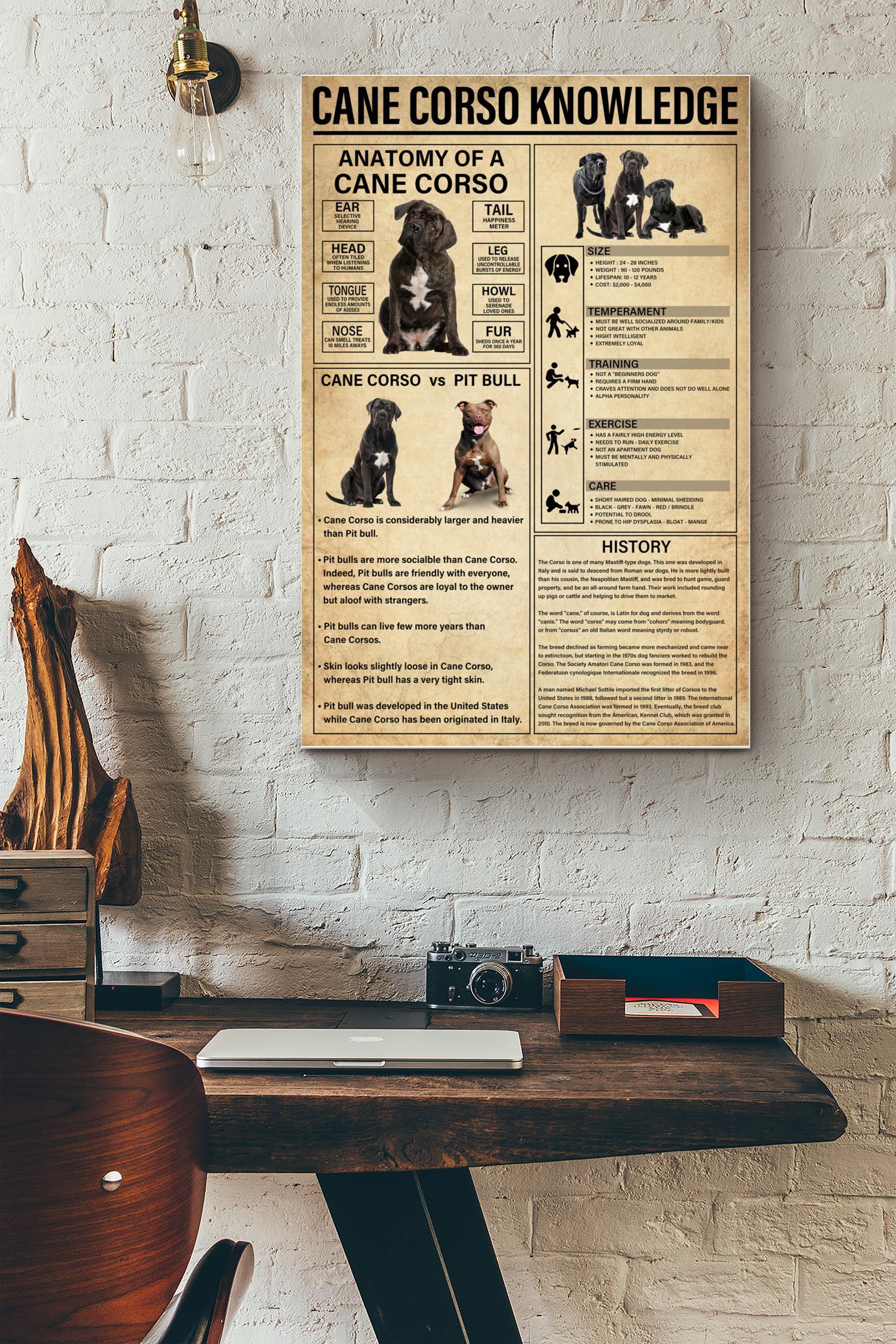 Cane Corso Knowledge Basic Information Poster – Animal Knowledge Wall Art – Gift For Dog Lover Dog Owner Biologist (Unframed) Poster